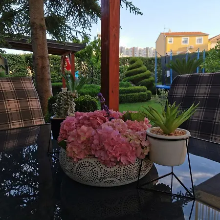 Apartment Leona *
